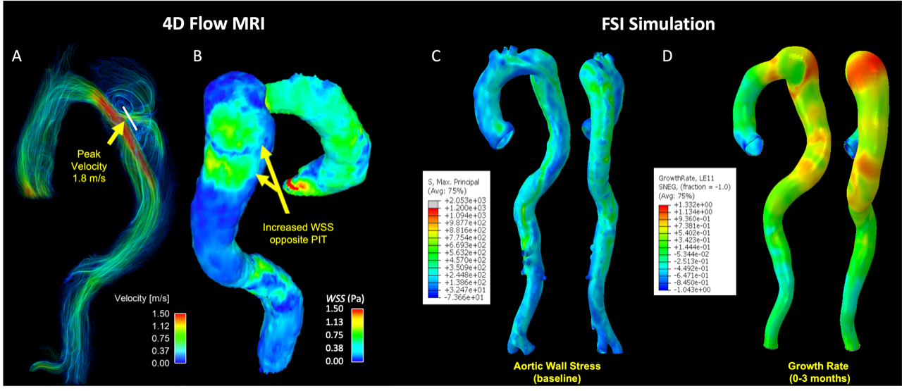 Aortic Research Lab Image 2