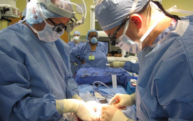Pediatric Residency Wulkan Fellow