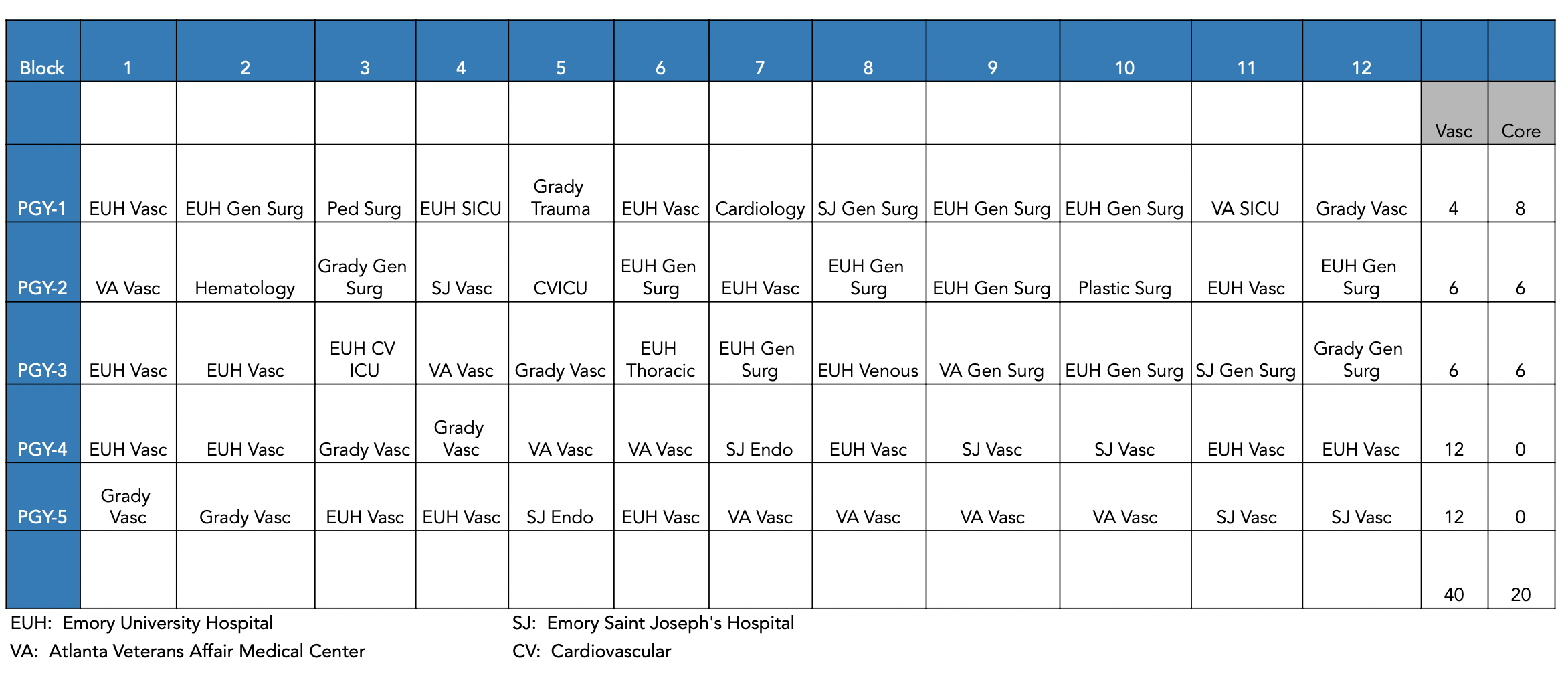 Vascular Surgery Spreadsheet 2