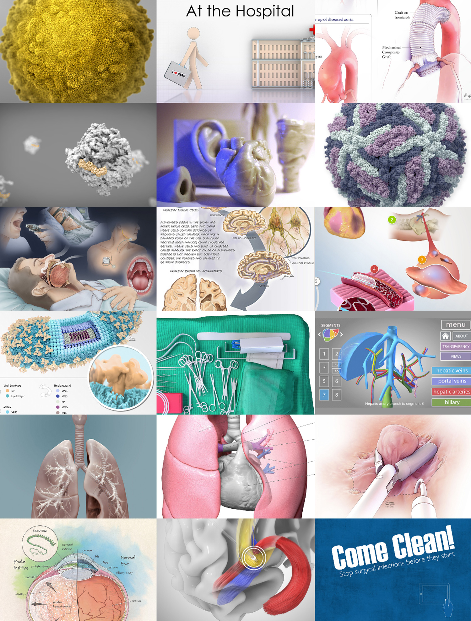 Visual Medical Education project archive.