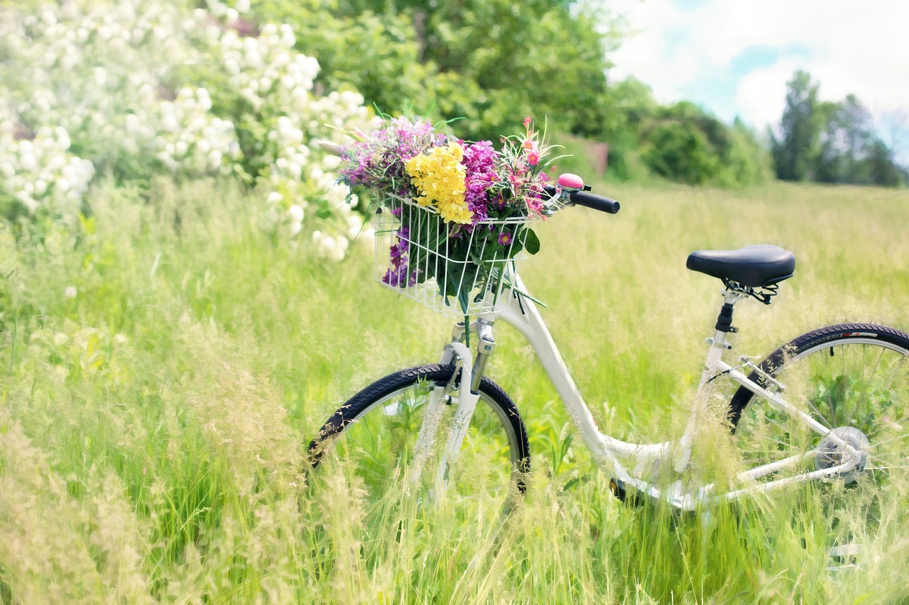 Spring Flowers in Bicycle Basket