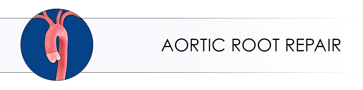 Aortic Root Repair