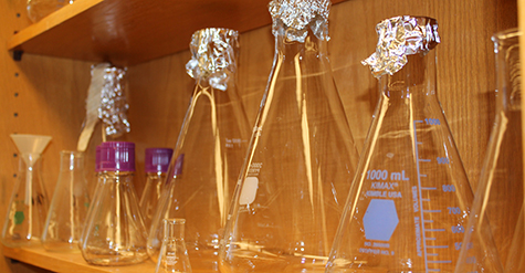 Willie Lab Bottles