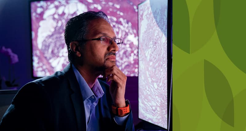 The Next Chapter of AI is Human