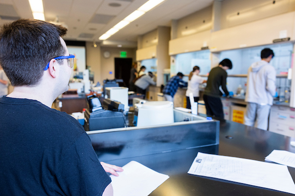 a group of people working on separate projects in a lab environment