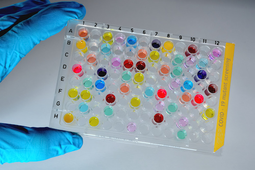 A gloved hand holds a 96-well plate with various colored liquids, labeled “COVID-19 mutant screening” on the side.