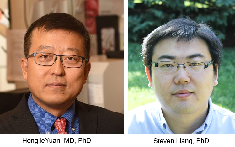 composite headshot image for Dr. Hongjie Yuan and Dr. Steven Liang