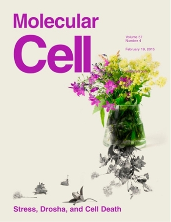 Cell Journal Cover - drosha