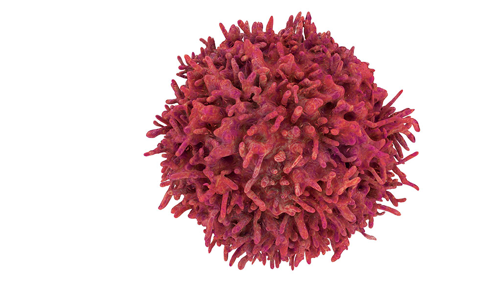B-cell lymphocyte (stock image)