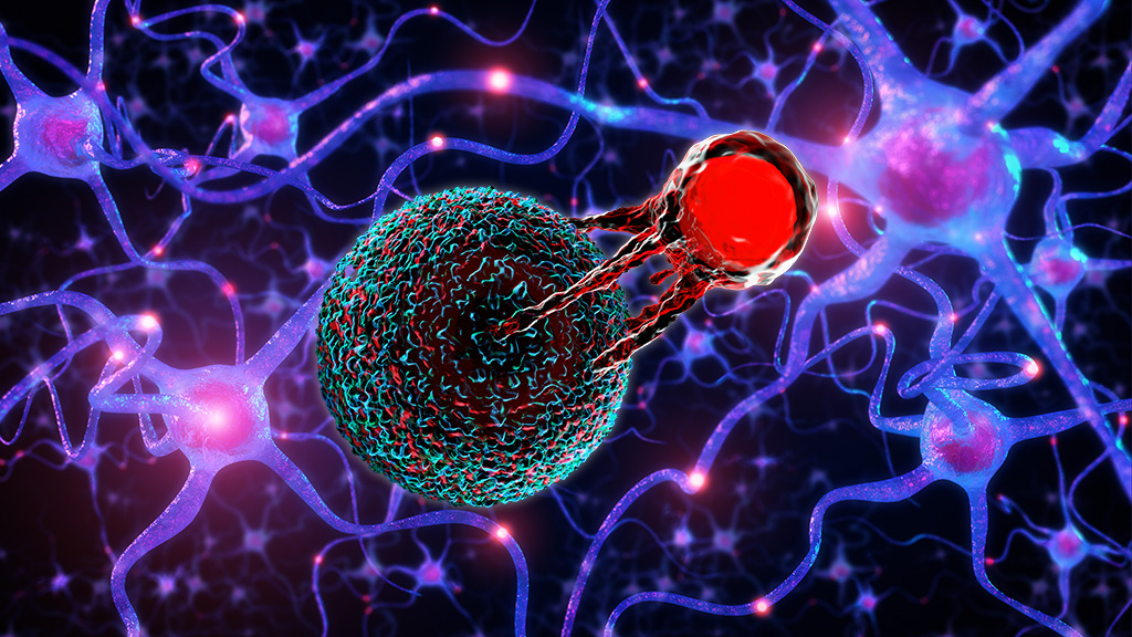 Rendering of T cell attacking cancer cell among neurons