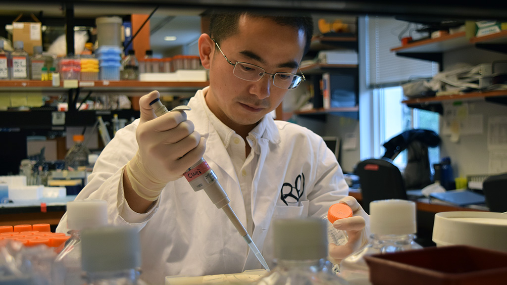 Researcher Changyong Wei, PhD working at the lab bench.