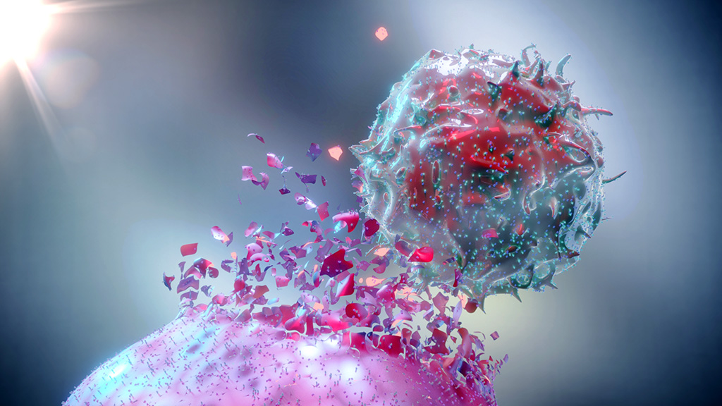3D Rendering of a Natural Killer Cell (iStockphoto.com)