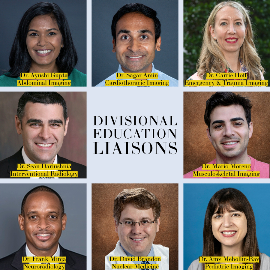 grid of eight smiling faces with the words Divisional Education Liaisons in middle of 9 box grid